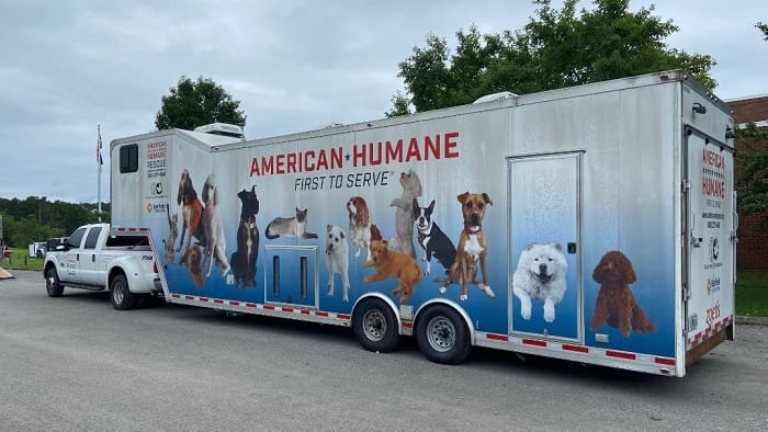 Lois Pope Joins Forces with American Humane to Save Animals in Eastern  Kentucky | citybiz